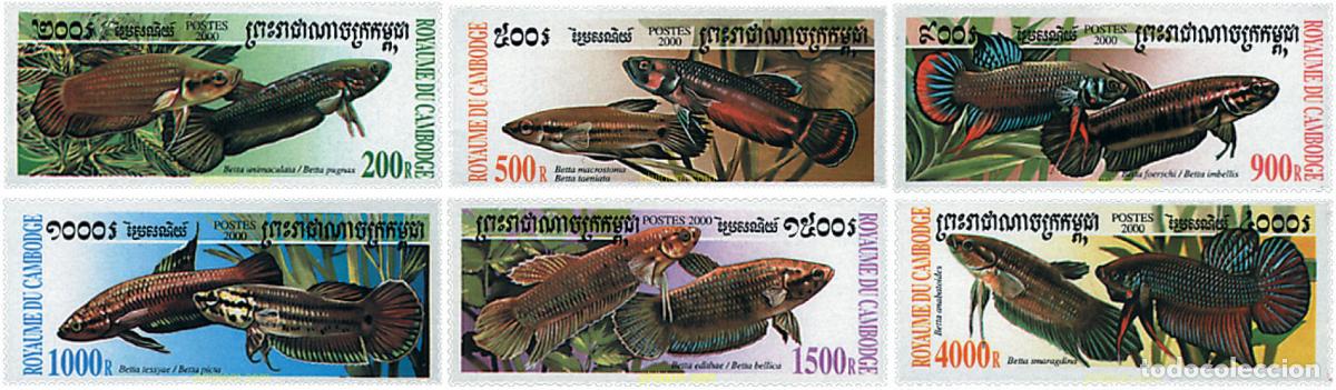 Sellos: 74159 MNH CAMBOYA 2000 FAUNA MARINA