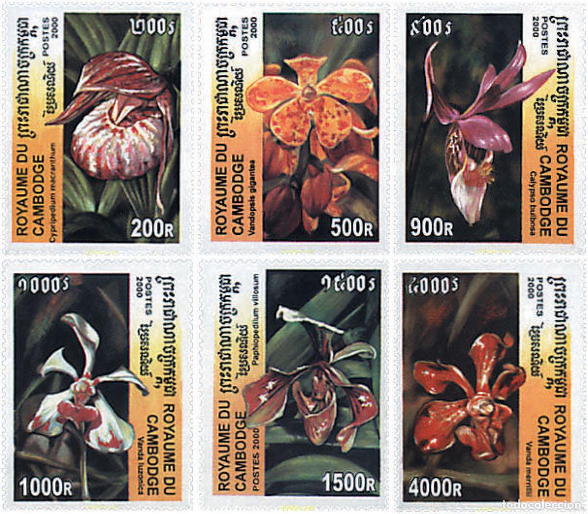 Sellos: 82168 MNH CAMBOYA 2000 ORQUIDEAS