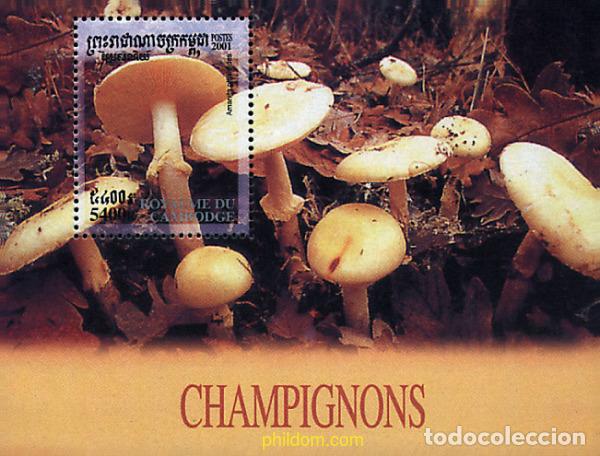 Sellos: 72031 MNH CAMBOYA 2001 SETAS