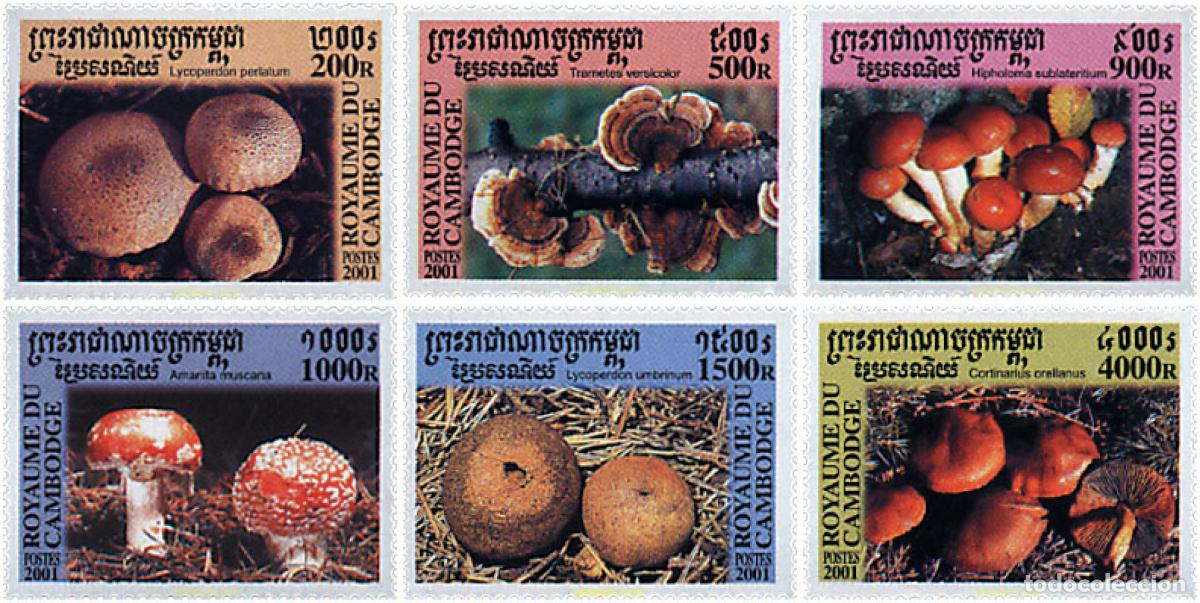 Sellos: 72030 MNH CAMBOYA 2001 SETAS