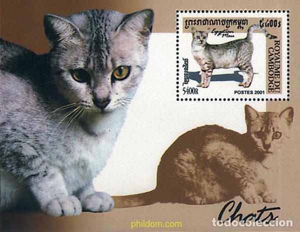 Sellos: 123603 MNH CAMBOYA 2001 GATOS