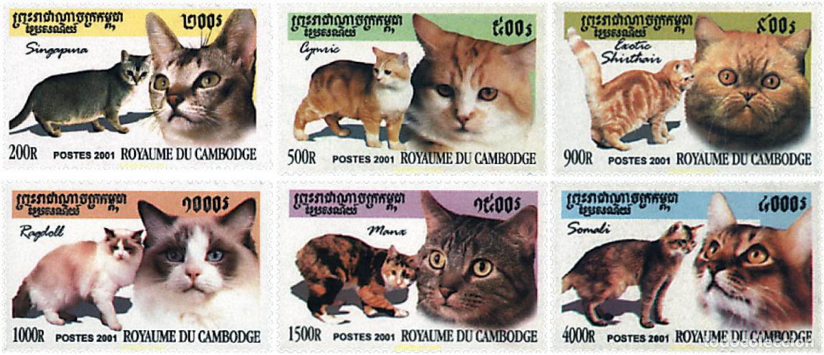 Sellos: 123604 MNH CAMBOYA 2001 GATOS
