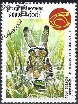 Sellos: Camboya 1999 - Mi 1897 - YT 1576 - Fauna : Conejo
