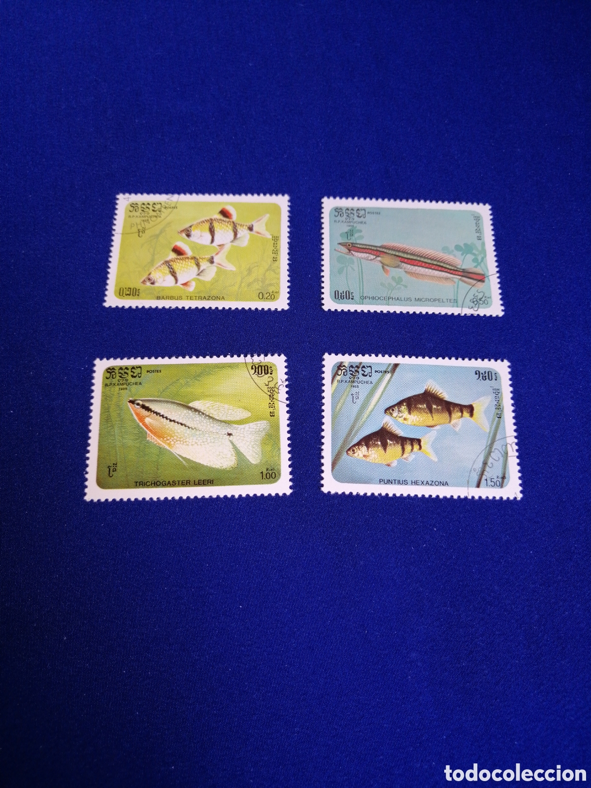 Sellos: REP&Uacute;BLICA DE KAMPUCHEA (CAMBOYA) LOTE PECES SELLOS USADOS MATASELLADOS