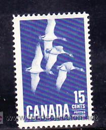 Sellos: CANADA  337 SIN CHARNELA, AVES, OCA, - Foto 1