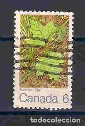 Sellos: hoja de arce. canad&aacute;. sello a&ntilde;o 1971 - Foto 1