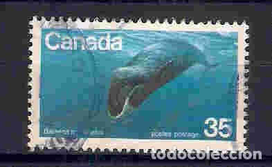 Sellos: peces. canad&aacute;. sello a&ntilde;o 1979 - Foto 1