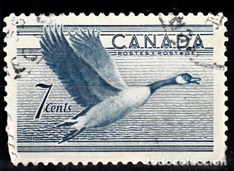 Sellos: CANADA 255 USADO. FAUNA. - Foto 1