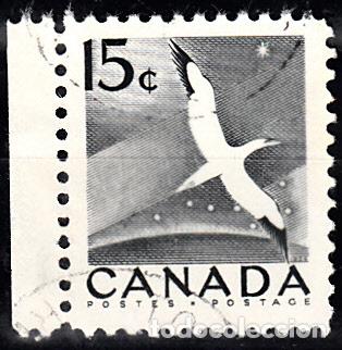 Sellos: CANADA 275 USADO. .FAUNA. - Foto 1