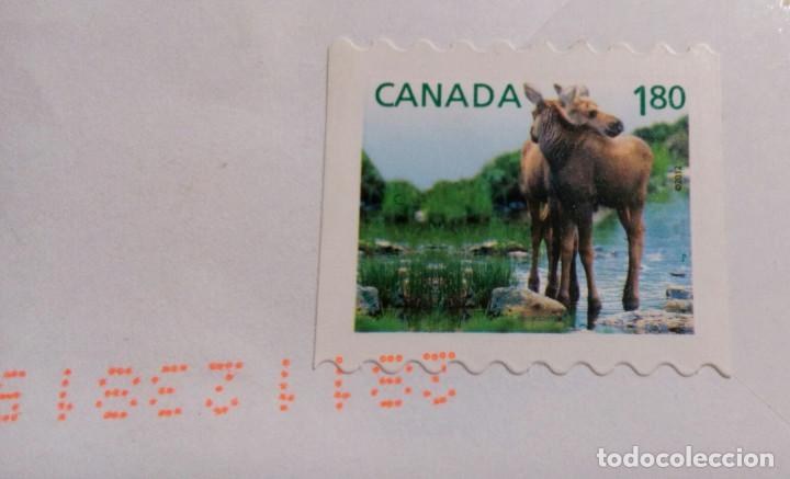 Sellos: SELLO CANADA.ALCE.2012.CIRCULADO. - Foto 1