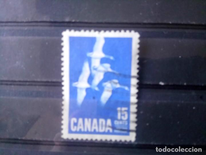 Sellos: CANAD&Aacute; 1963, PATOS, YT 337 - Foto 1