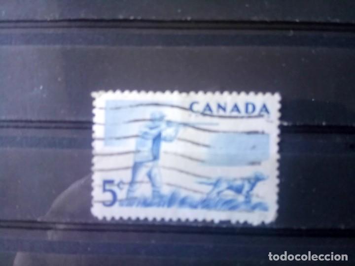 Sellos: CANAD&Aacute; 1957, CAZA, YT 294 - Foto 1