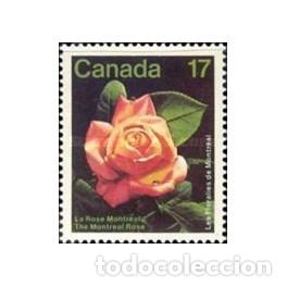 Sellos: 1981 Canad&aacute; 805 - La rosa de Montreal. - Foto 1