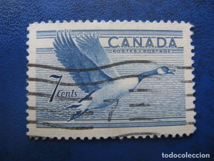 Sellos: -canada 1952, ganso,Yvert 255 - Foto 1