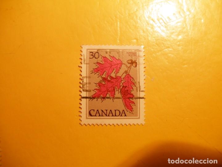 Sellos: CANADA - ARBOLES - HOJA DE LA BELLOTA. - Foto 1
