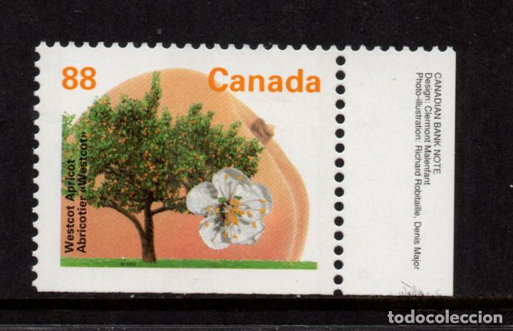 Sellos: CANADA 1358b** - A&Ntilde;O 1994 - FLORA - ARBOLES - Foto 1