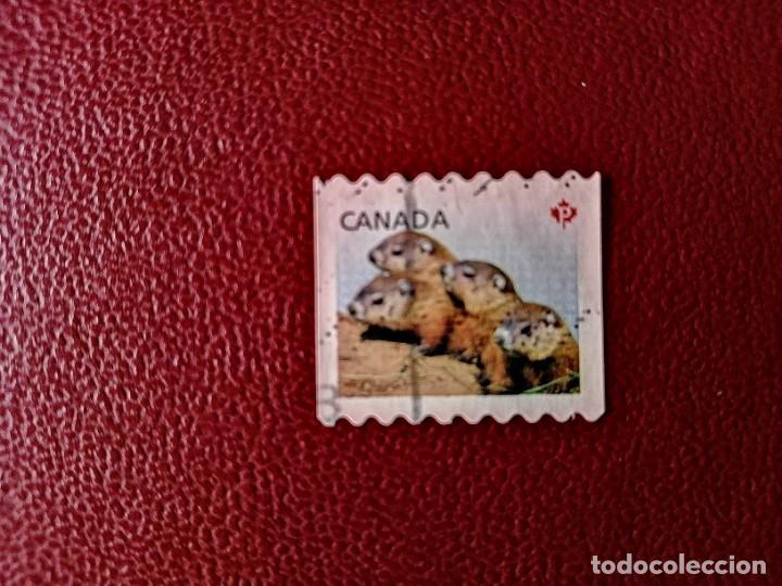 Sellos: CANADA P - FAUNA - Foto 1