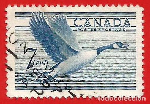 Sellos: CANADA. 1952. GANSO CANADIENSE - Foto 1