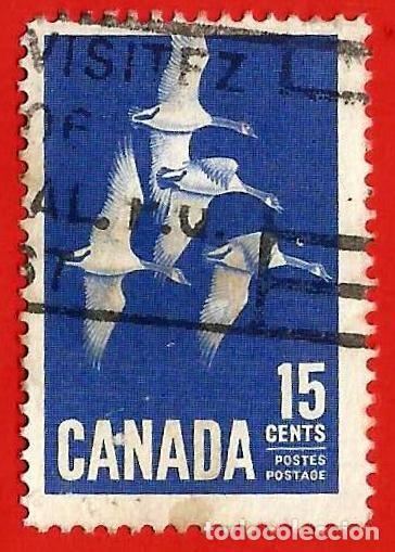 Sellos: CANADA. 1963. GANSOS CANADIENSES - Foto 1