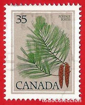 Sellos: CANADA. 1979. HOJA DE PINO - Foto 1