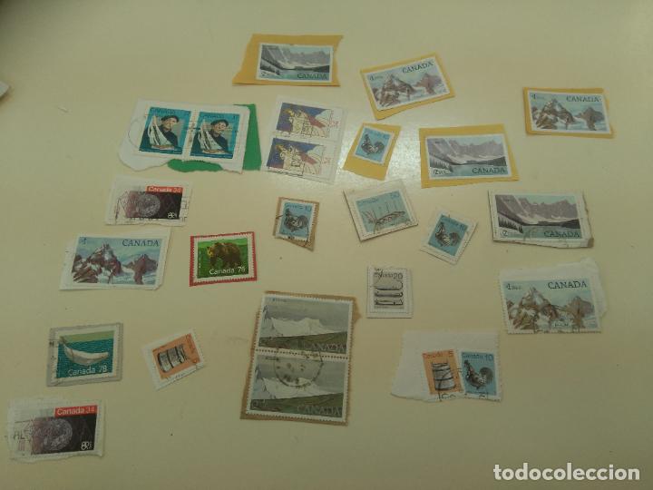 Sellos: LOTE DE SELLOS DE CANADA.. STAMPS - Foto 1