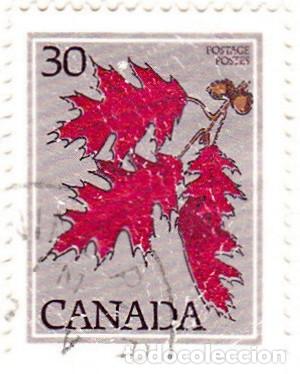 Sellos: 1978 - CANADA - FLORA - HOJAS DE ROBLE - YVERT 658 - Foto 1