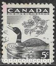 Sellos: CANAD&Aacute; YVERT 296, FAUNA - Foto 1
