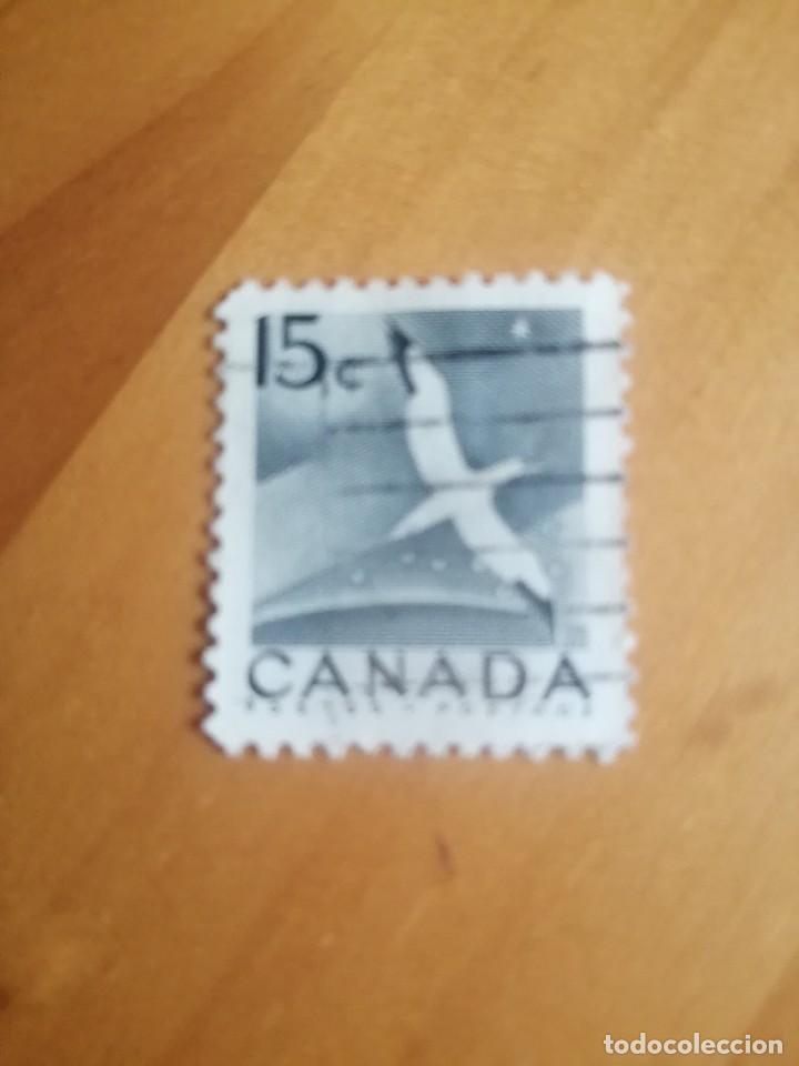 Sellos: CANADA - 15 C - A&Ntilde;O 1953 - AVE - Foto 1