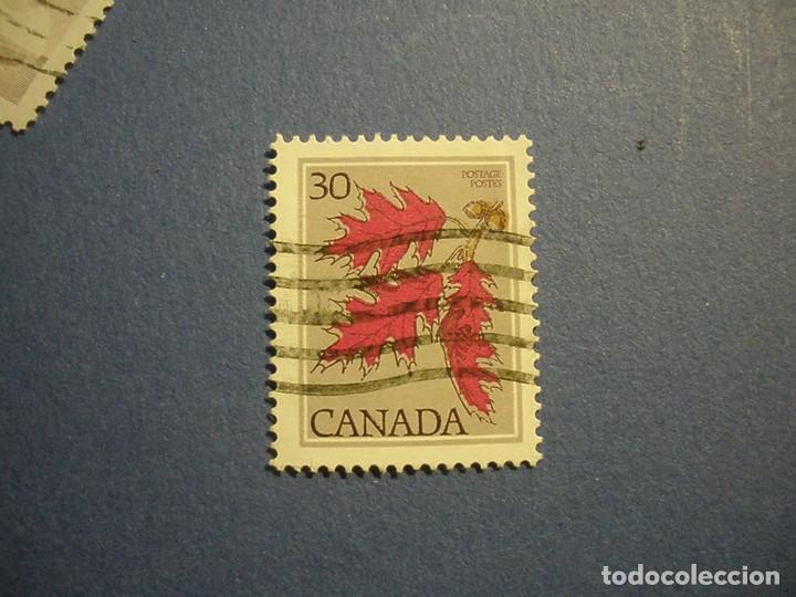 Sellos: CANADA - FLORA. - Foto 1