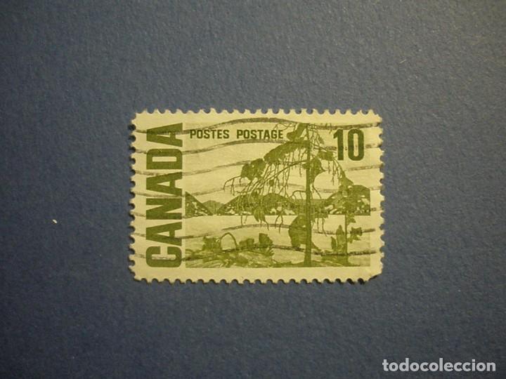Sellos: CANADA 1967 - FLORA DEL LAGO. - Foto 1