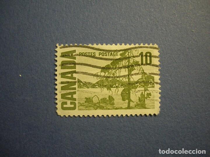 Sellos: CANADA 1967 - FLORA DEL LAGO. - Foto 1
