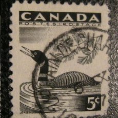 Sellos: SELLO CANADA 1955 5C - FAUNA AVES ACUATICAS - PATO