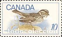 Sellos: CANADA 1969 - PAJARO - YVERT 423** - Foto 1
