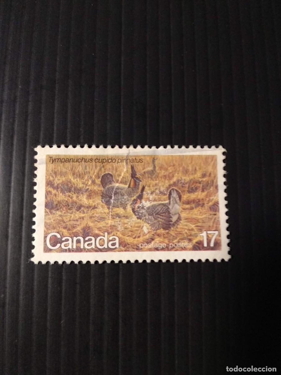 Sellos: SELLOS CANADA N&ordm; 733 USADO - Foto 1