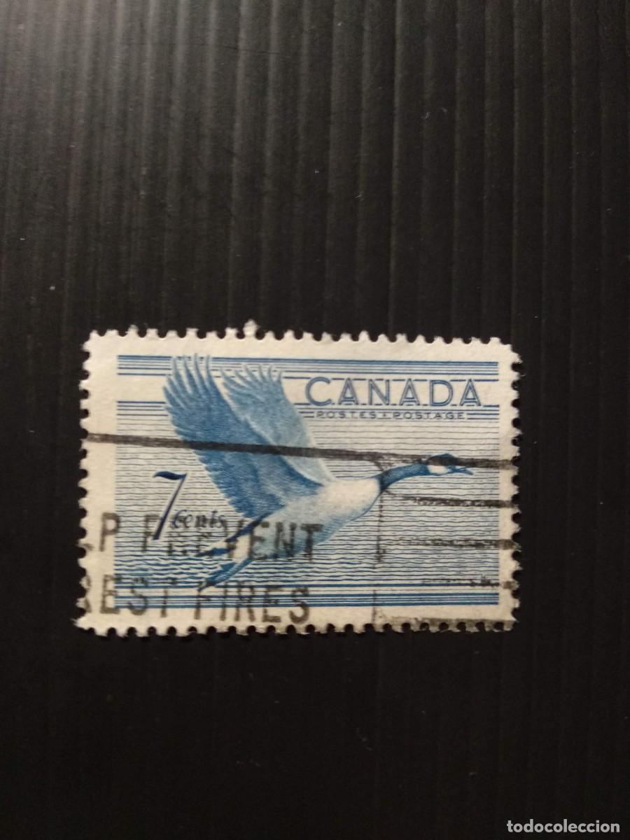 Sellos: SELLOS CANADA N&ordm; 255 USADO - Foto 1