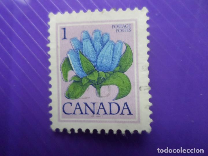 Sellos: .canada, 1977, flores de canada, Yvert 625 - Foto 1