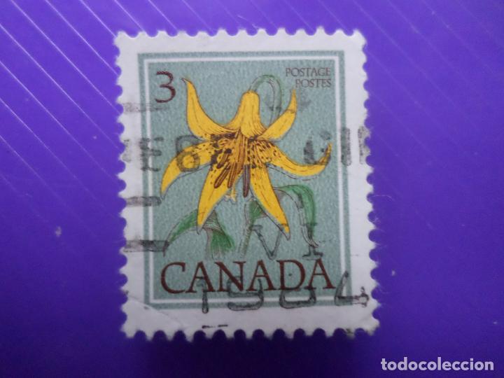 Sellos: .canada, 1977, flores de canada, Yvert 627 - Foto 1