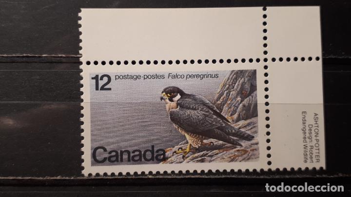 Sellos: CANAD&Aacute; ** A&Ntilde;O 1977. YVERT 654 - Foto 1