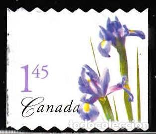 Sellos: SELLO USADO DE CANADA 2004, YT 2117 - Foto 1