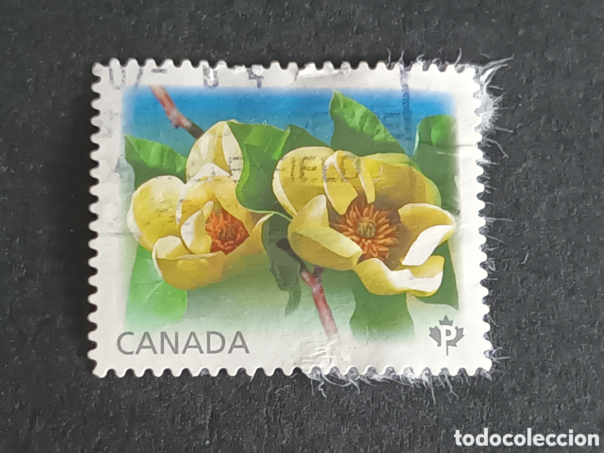 Sellos: CANAD&Aacute;. SELLO USADO. - Foto 1
