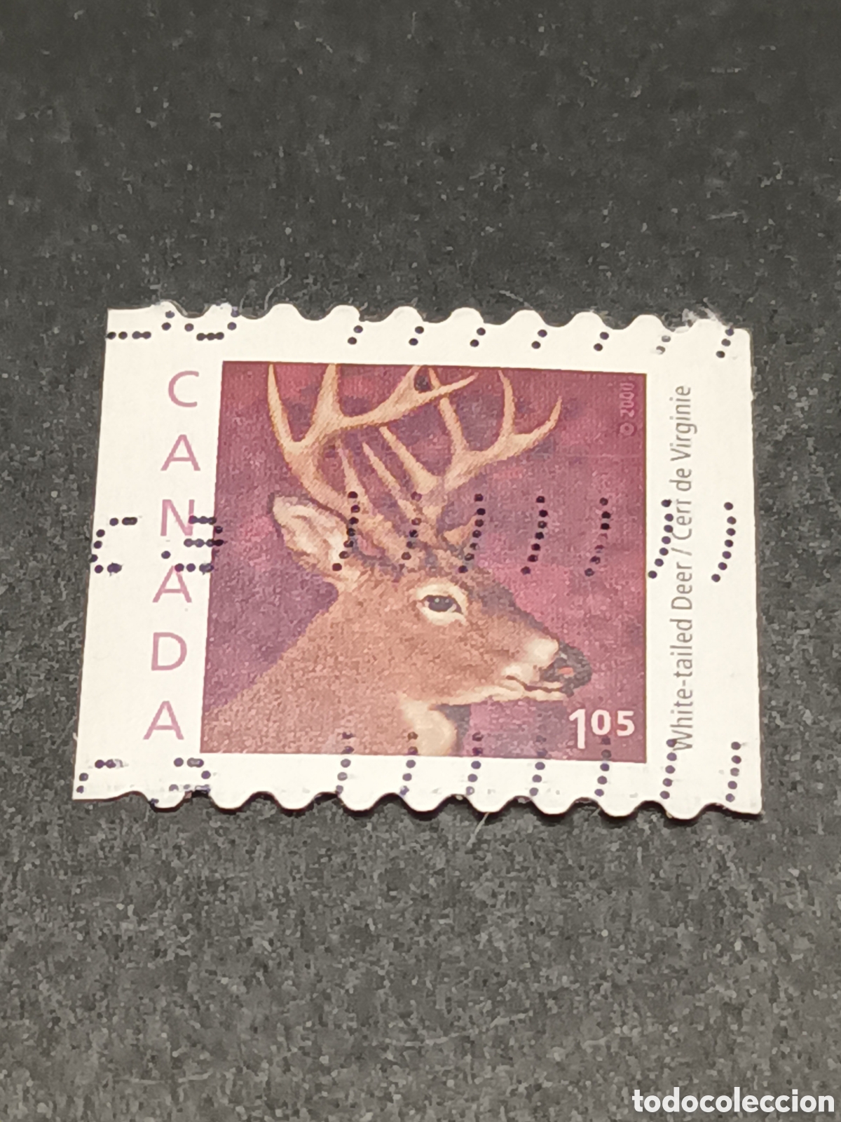Sellos: CANAD&Aacute;. SELLO USADO. - Foto 1