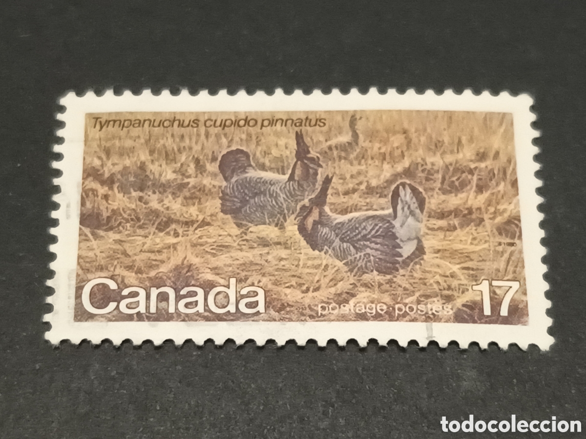 Sellos: CANAD&Aacute;. SELLO USADO. - Foto 1