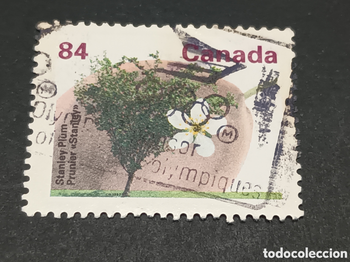 Sellos: CANAD&Aacute;. SELLO USADO. - Foto 1