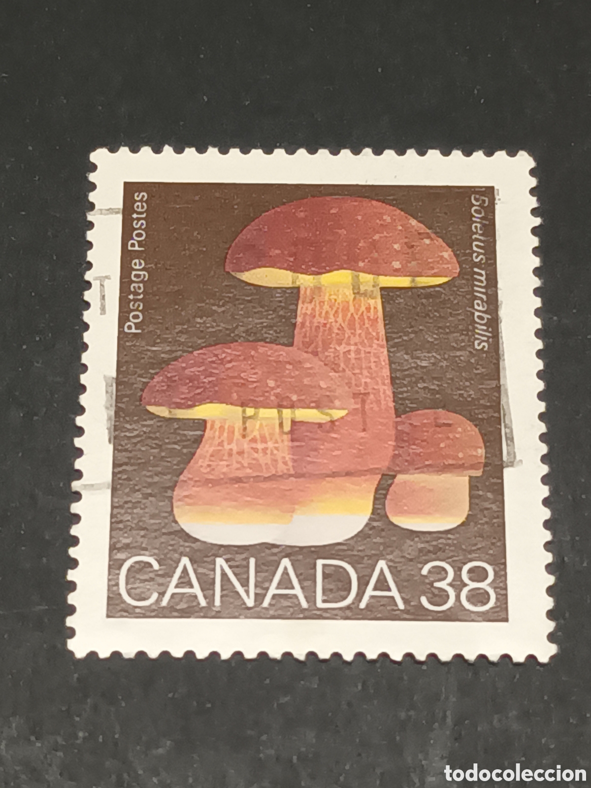 Sellos: CANAD&Aacute;. SELLO USADO. - Foto 1