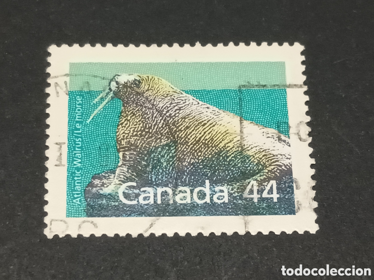 Sellos: CANAD&Aacute;. SELLO USADO. - Foto 1