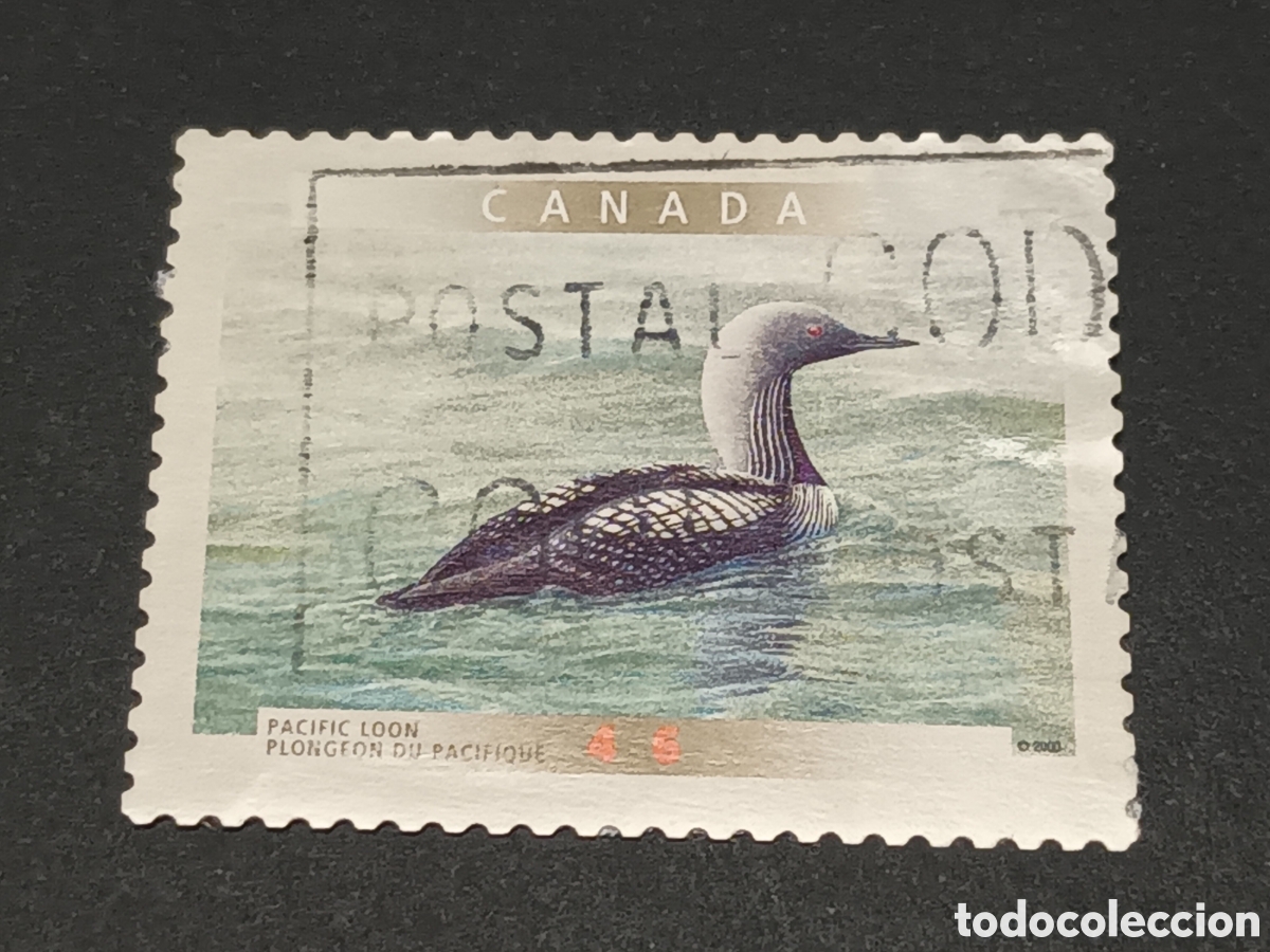 Sellos: CANAD&Aacute;. SELLO USADO. - Foto 1