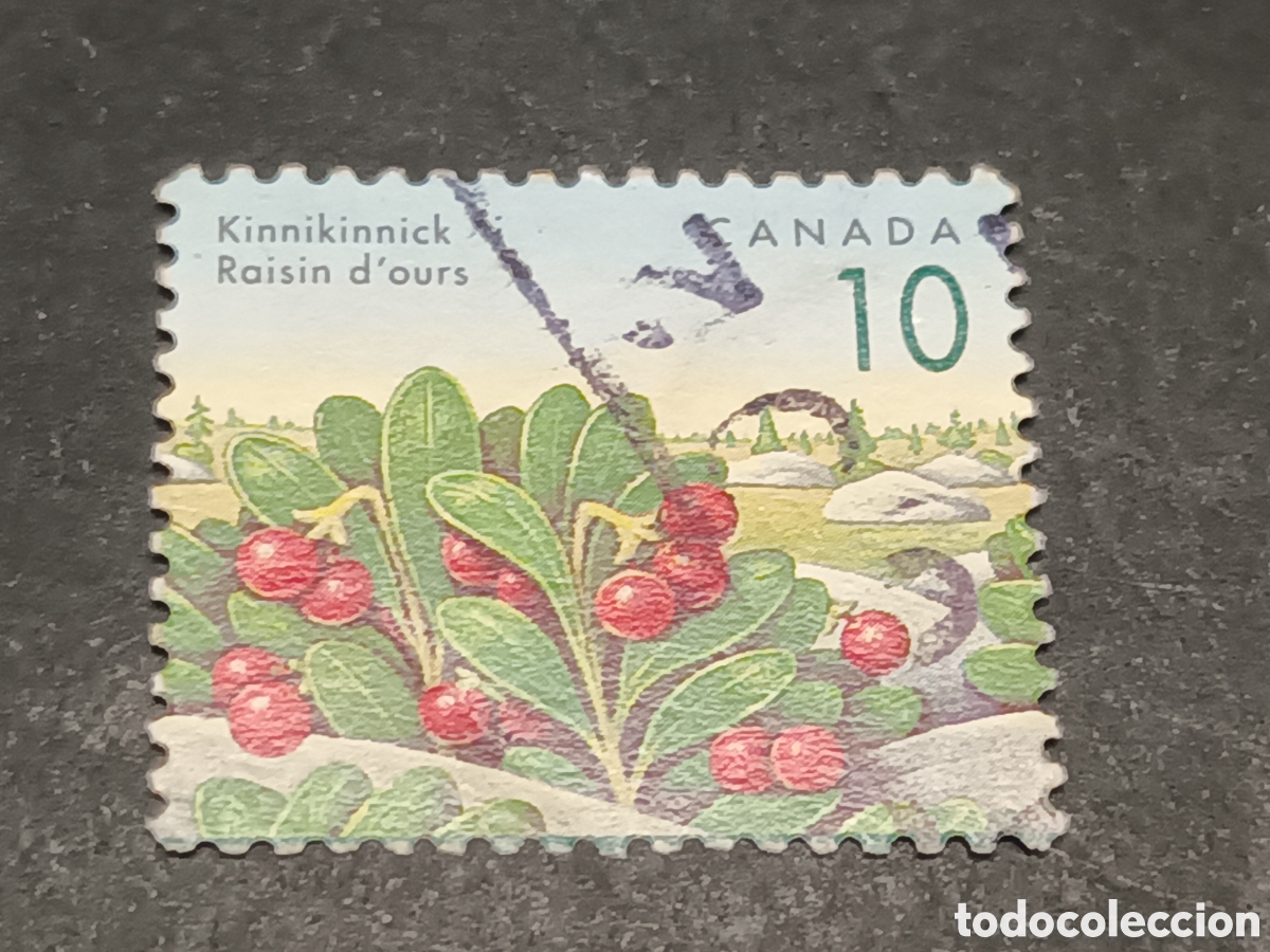 Sellos: CANAD&Aacute;. SELLO USADO. - Foto 1