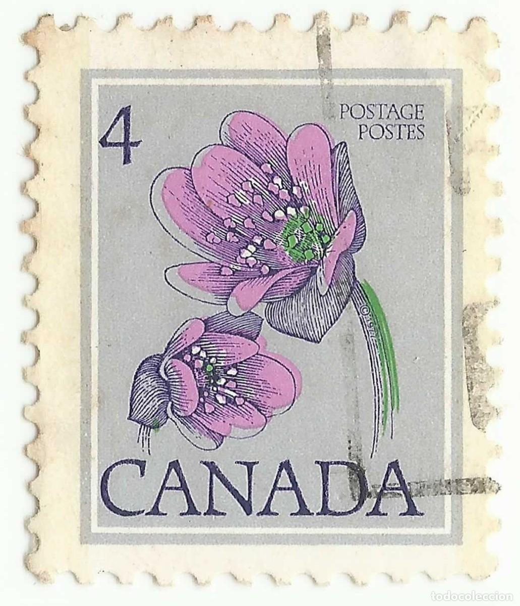 Sellos: ❤️Sello de Canad&aacute; (1977): Hep&aacute;tica (Hepatica acutiloba), 4C❤️ - Foto 1