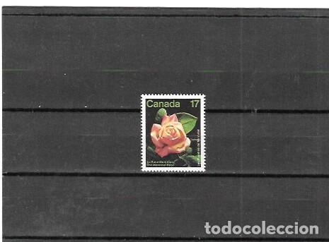 Sellos: CANADA N&ordm; 773 (**) - Foto 1
