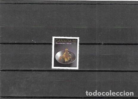 Sellos: CANADA N&ordm; 867 (**) - Foto 1